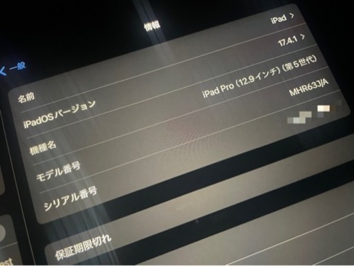 iPad iPad Pro WiFi + Cellular