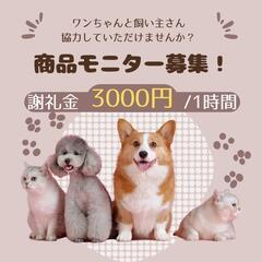 【6/5.6.7】わんちゃんと飼い主さん　商品モニターとアンケート