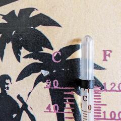 【無料】オーストラリアで購入した温度計付き壁掛けの画像