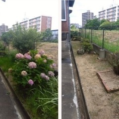 🌱お庭の草刈り　空き地の草刈り　個人様　法人様🌱