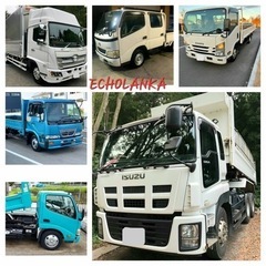 🚙クルマ⭐️販売⭐️買取⭐️エコランカ🚙どんなクルマも買取いたします🚙 - その他