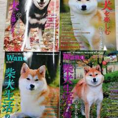 WAN ワン 雑誌 4冊セット