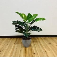 観葉植物　フェイクグリーン　モンテスラ