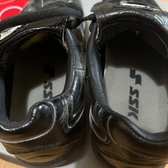スパイクの画像