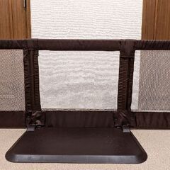 おくだけとおせんぼ　Lサイズの画像