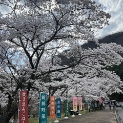 6/22 （土）ランチ会　グループメンバー募集✨ - 京都市