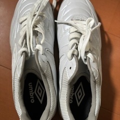 靴/バッグ 靴 スニーカー