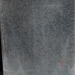 ゾウリムシ　500ml