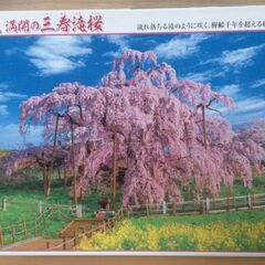 ★開封済み商品　藤城清治秋田竿燈まつり　福島大内宿　富士望む山梨忍野村　満開の福島三春滝桜　ツリーバー／モンテゴベイ　5点セット★の画像