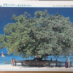 ★開封済み商品　藤城清治秋田竿燈まつり　福島大内宿　富士望む山梨忍野村　満開の福島三春滝桜　ツリーバー／モンテゴベイ　5点セット★の画像