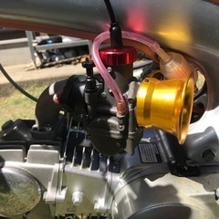 アメリカンDAX フルレストアカスタム！の画像