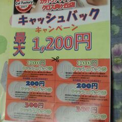 ●無料● カットファクトリー クロス向ヶ丘 クーポン チラシ 差...