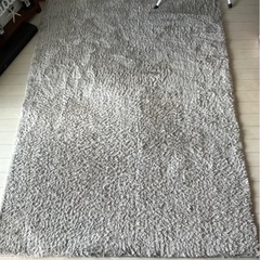 大きなラグ　カーペット