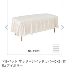 【期間限定SALE】エステベッド、カバー2つ、ヒートマット、スチーマー、マクラ3つ　8点の画像