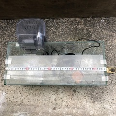 譲渡先決まりました。水槽　450長さ×220（高さ）×200（幅）