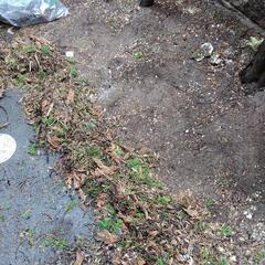 草刈り🌿‬草むしり‪🌱‬枯れ草の除去🍁など🍃彡 − 新潟県
