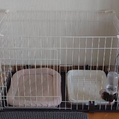 犬を飼いたい方に必見のお買い得情報です！！