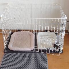 犬を飼いたい方に必見のお買い得情報です！！の画像