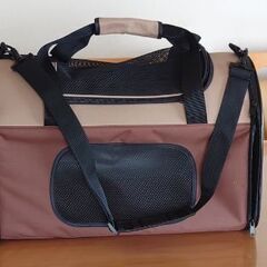 犬を飼いたい方に必見のお買い得情報です！！の画像