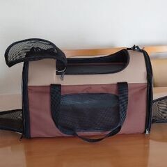 犬を飼いたい方に必見のお買い得情報です！！の画像