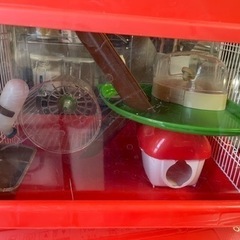 ハムスターケージの画像