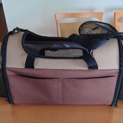 犬を飼いたい方に必見のお買い得情報です！！の画像