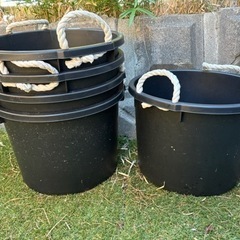30Lバケツ メダカ タライ 容器 