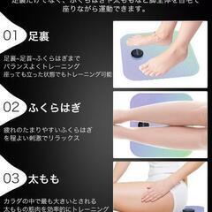 新品未使用フットマット EMS 足裏ケア トレーニング LEG RELAX ふくらはぎ 太もも 足裏 脚 筋力 洗えるマット 柔らかい生地 8種類モード 19段階レベル 持ち運びに便利 男女兼用 敬老の日 

の画像