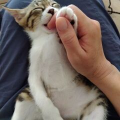 生後２ヶ月💛