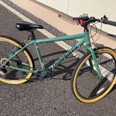 THIRDBIKES フェスリゾート-E　ダークグリーン