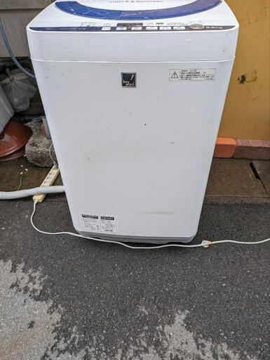 家電 生活家電 洗濯機