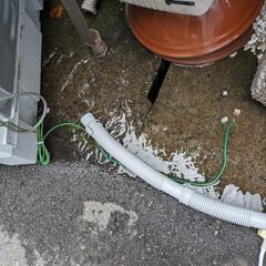 家電 生活家電 洗濯機の画像