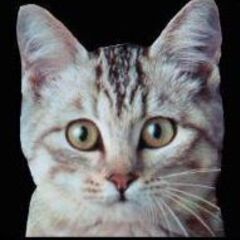 Ｗｉｎｄｏｗｓ１０のパソコンをお譲り下さい！