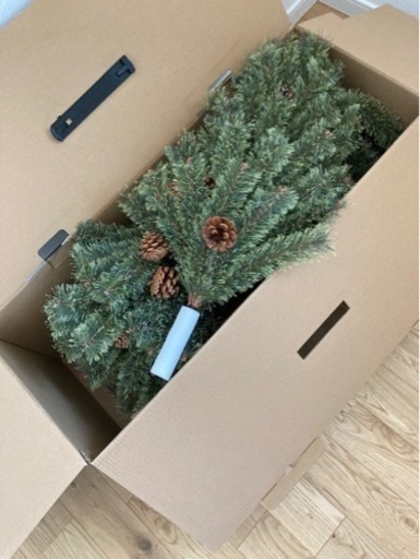 アルザス　クリスマスツリー