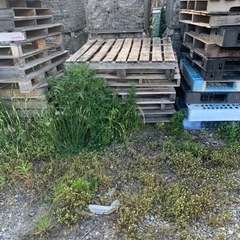 生活雑貨 家庭用品 ガーデニングの画像