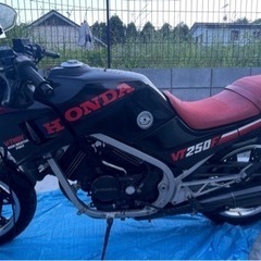 vt250f