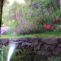差し上げますターシャテューダー写真集[輝ける庭]の画像