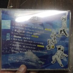 閃光ライオット2014の画像
