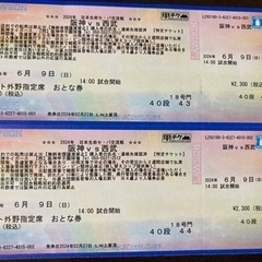 阪神vs西武　甲子園　6月9日