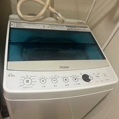 家電 生活家電 洗濯機