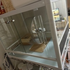 パンテオンの中古が安い！激安で譲ります・無料であげます
