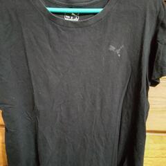 PUMA シンプルな男児Tシャツ  黒