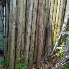 廃材（丸太）の画像