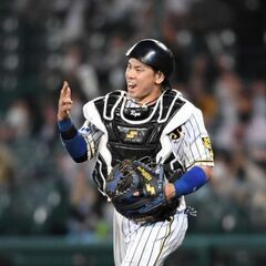 トラトラ仲間募集中