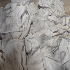 小学生140～160cmポロシャツの画像