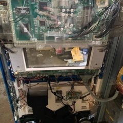 送料無料　ビンゴの画像