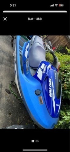 スポーツ マリンスポーツ