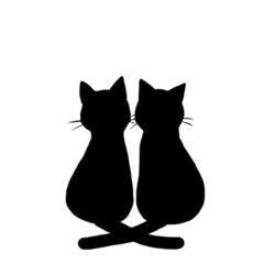 生まれたての子猫🐈‍⬛
