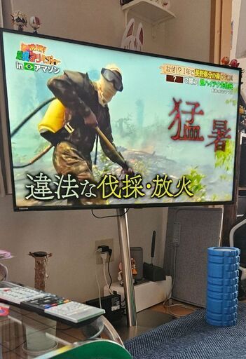 ★別売可能★東芝4K液晶テレビ43型·テレビスタンド