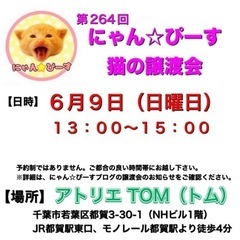 6月9日(日)🌸にゃん☆ぴーす猫の譲渡会🌸「アトリエTOM」JR...